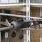 Imperial War Museum, London