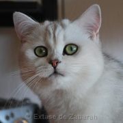 extasejeune