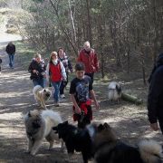 Eurasier Walk March 2010