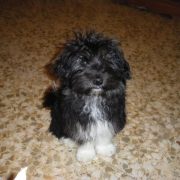 Keiko