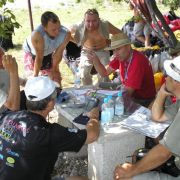 Pre PWC - DP CRO 2007