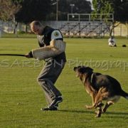 SANATS2010_SchH1