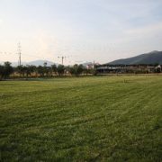 campo 27 giugno... si taglia