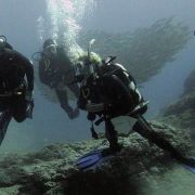 Diving in Tenerife August 2011