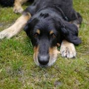 Der letzte Tag mit Bunga + 4.10.2011