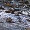 Chirripó, Tierra de las Aguas Eternas