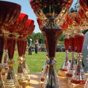 NE2008-Finales-CACS