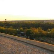 dog park
