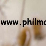 UK Wildlife Photography