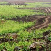Lomas Costeras AQC