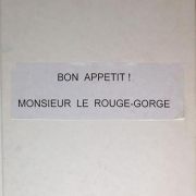 Bon appétit ! Monsieur Rouge-Gorge.