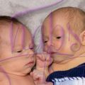 Gallicehio Twins Photoshoot august 14