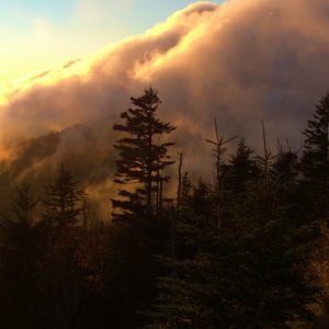 Mountain On Fire, View from Clingman's Dome, 2015