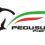Pegusus