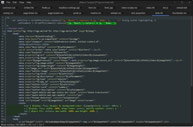 Skin Editor