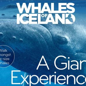 Whales of Iceland - Expo Reykjavík