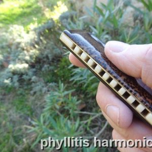 Harmonica "African Panthère" By Phyllitis.