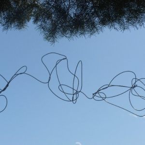 Windfence, Gallery 2, Grand Forks, B.C., 2016