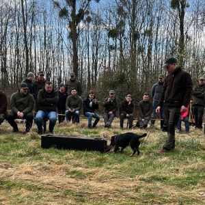 KJS_2024_Rassehundevorstellung