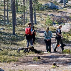 2024.06.01-02 Sølen
