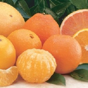 Florida-Citrus.Com