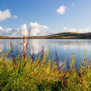 Scotland Golden Green