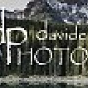 dp