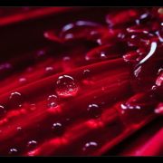 Droplets