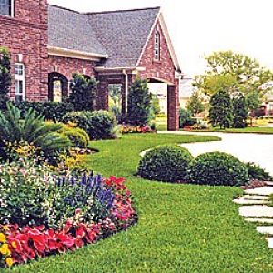 Cavalier Landscapes