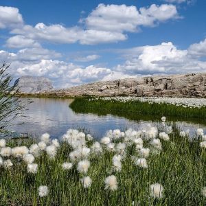 Lacs de Montagne 2017