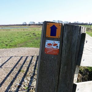 Zoddenpad