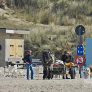 HORSEBACKFISHERMEN 553 - Belgium