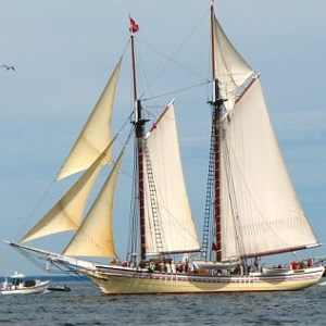 Sailboats and Others