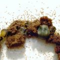 zecken ticks tiques