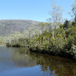 Platypus Tarn