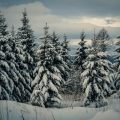 Winter in High Tatras 
