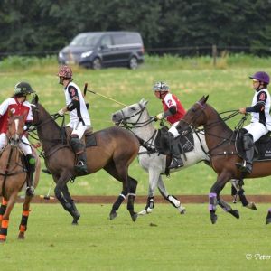 Polo, Reitsport