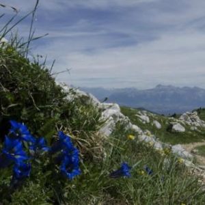 Le Grand Veymond