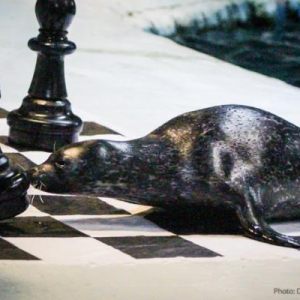 Chess Olympiad Tromsø Day 7