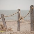 Texel  winter 2021