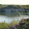 terschelling, thuiskomen op een eiland