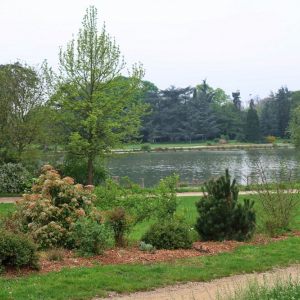 ILE de FRANCE - Lac DAUMESNIL