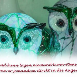Tierportraits (Tieraugen-Blicke)