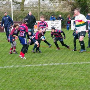 Cheshire Rugby Festival