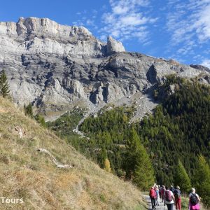 Brisolee - Wanderung in Derborence