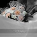 mio sito jalbum