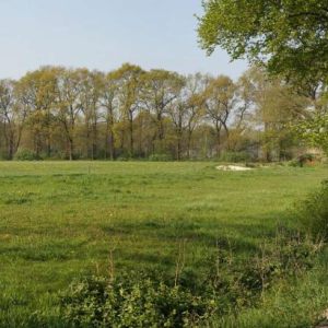 The Vecht near Beerse (Responsive)