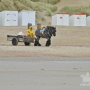 HORSEBACKFISHERMEN 559 - Belgium