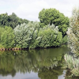 Tussen Bosruiterweg en Nijkerkerbrug