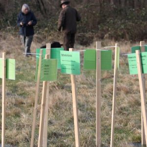KJS_Hundevorstellung_2022